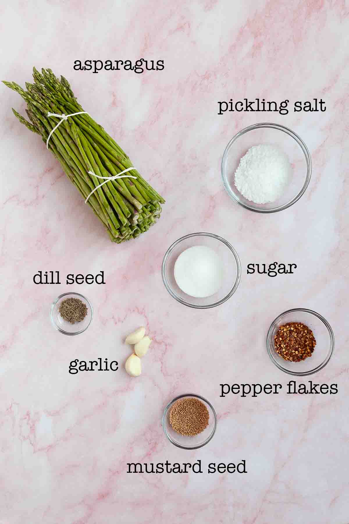 Ingredients for spicy pickled asparagus--asparagus, pickling salt, sugar, dill seed, garlic, mustard seed, and pepper flakes.