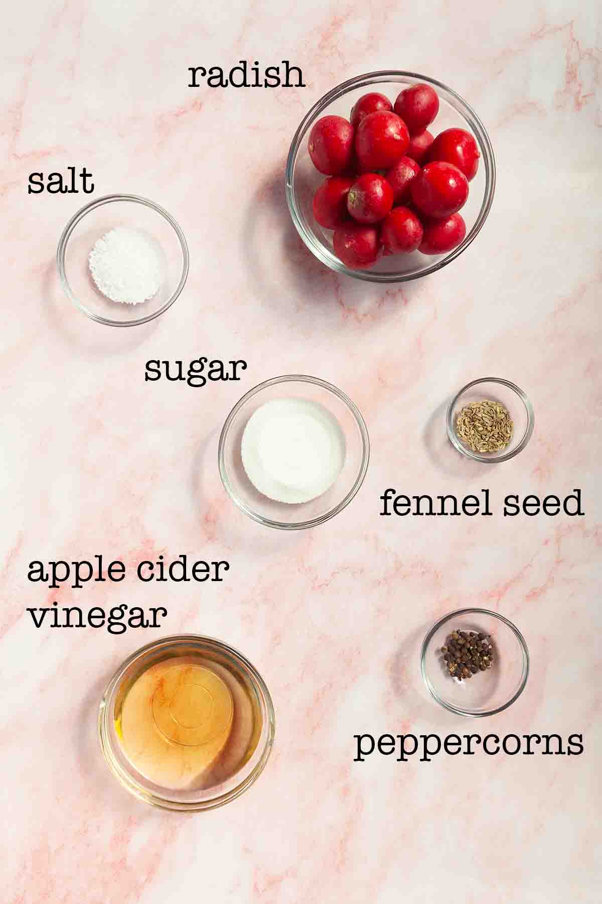 Ingredients for quick pickled radish--radishes, salt, sugar, fennel seed, apple cider vinegar, and peppercorns.