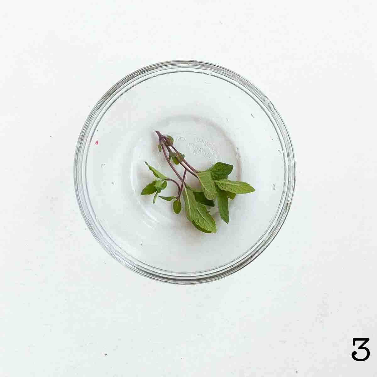 Sprigs of mint in a bowl.