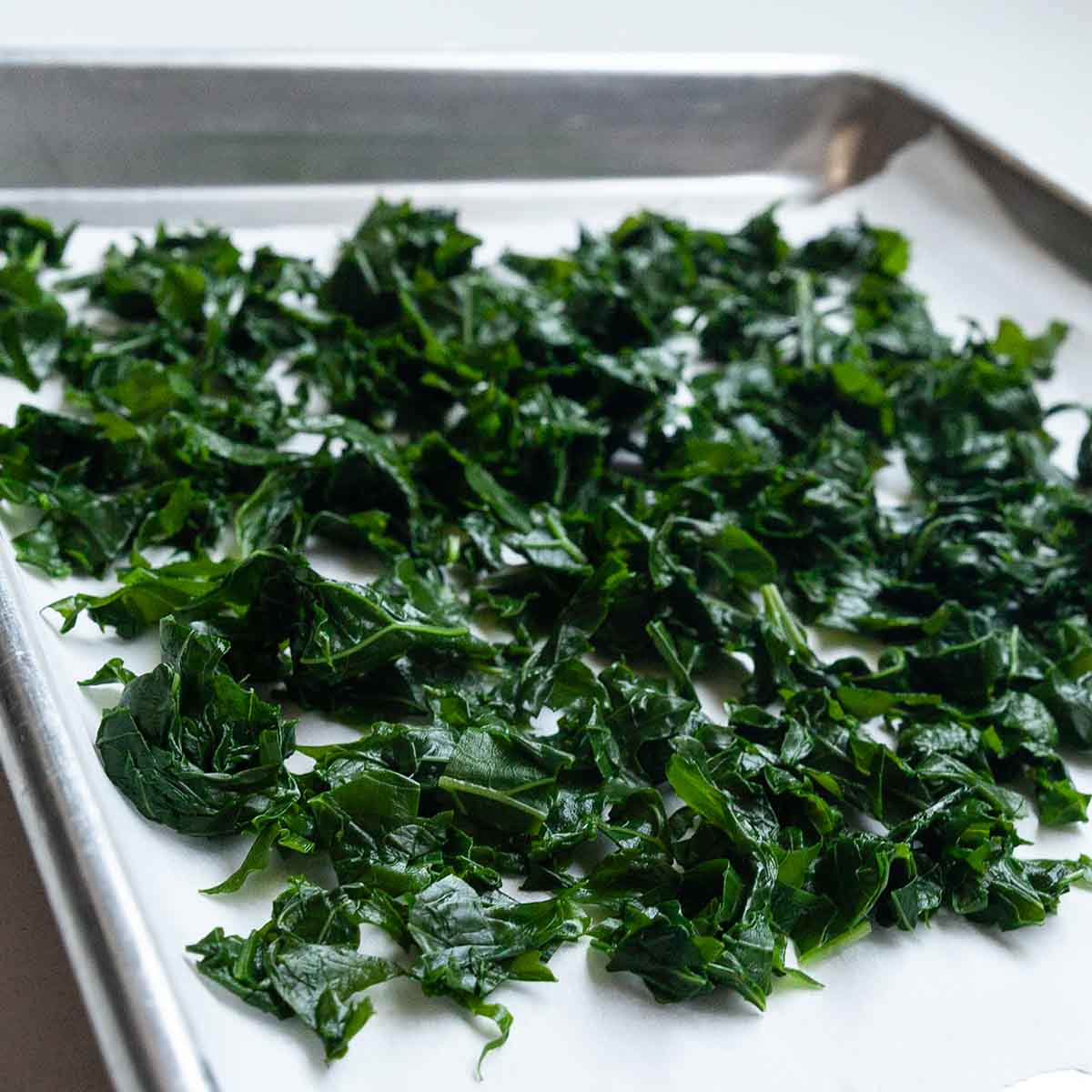 Blanched pieces of kale on a baking sheet.