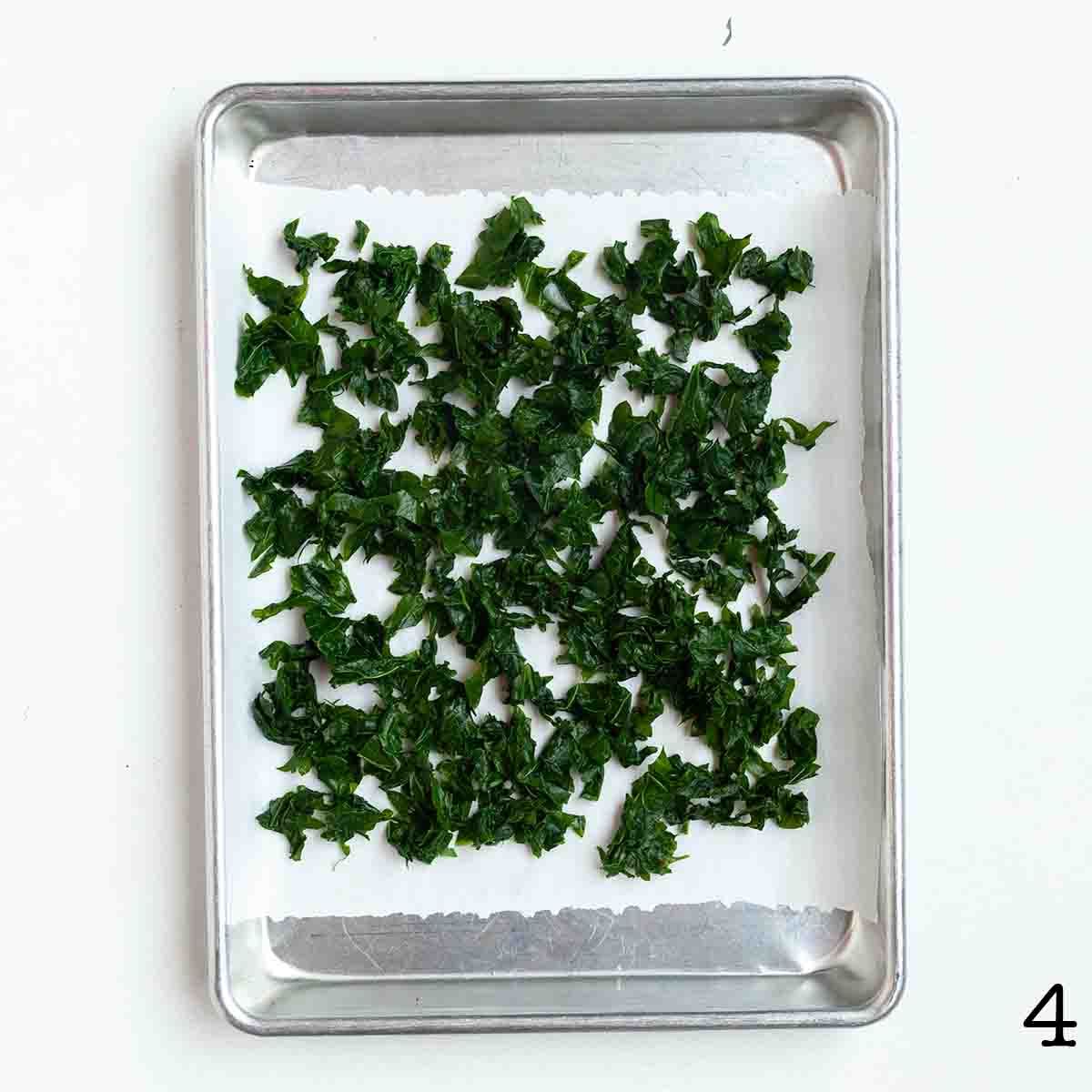 Blanched pieces of kale on a baking sheet.