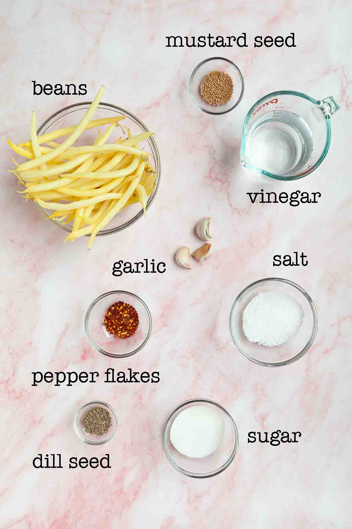 Ingredients for pickled yellow beans--beans, mustard seed, vinegar, garlic, salt, sugar, pepper flakes, and dill seed.