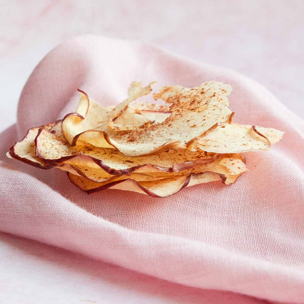 A stack of cinnamon apple chips.