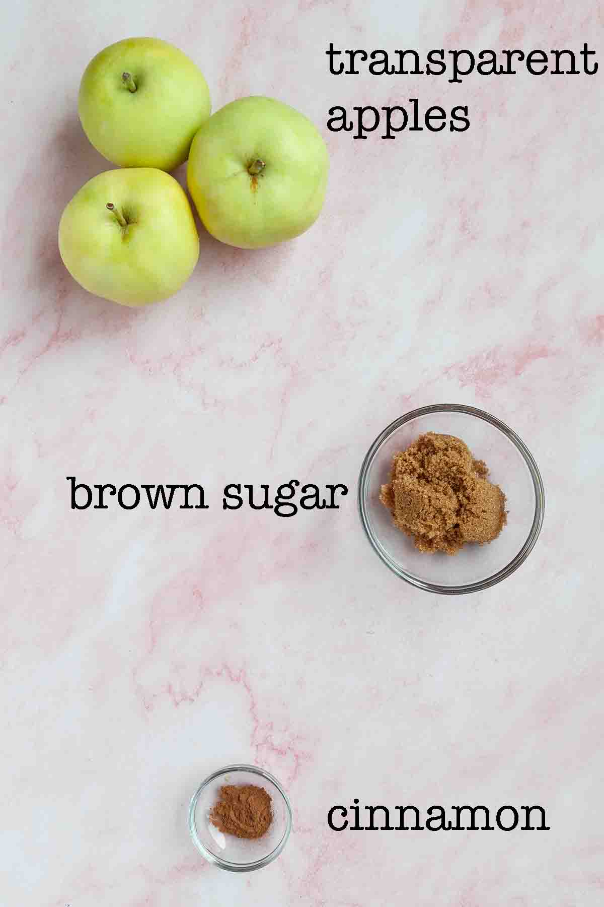 Ingredients for homemade applesauce--transparent apples, brown sugar, and cinnamon.